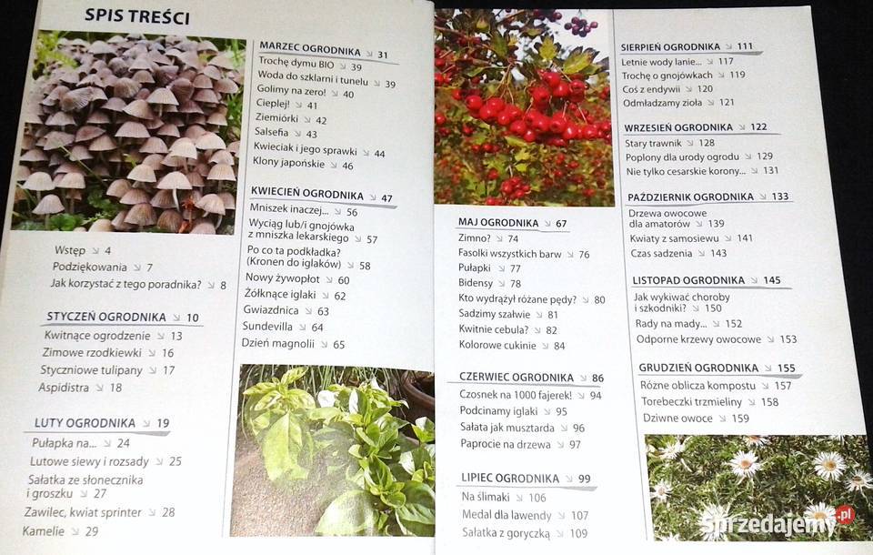 Wpływ księżyca 2019 Poradnik ogrodniczy Witold lubelskie
