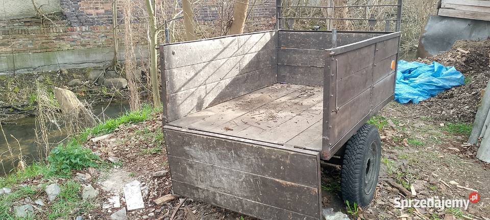 wsk 125 dzik rama Międzychód