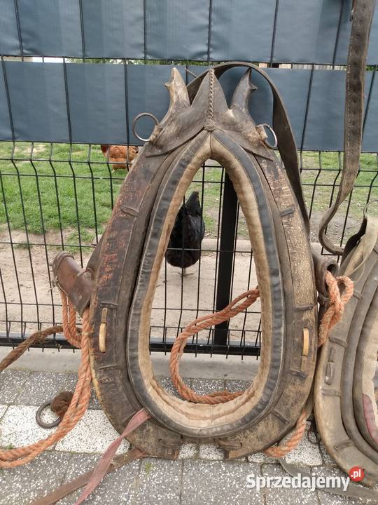 Homonto homonta końskie Pozostałe Rolnictwo Sienno