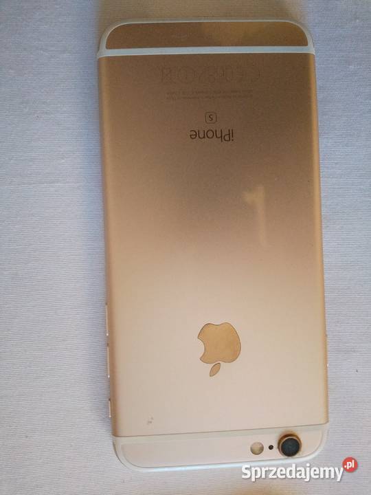 apple 6 Zielonka