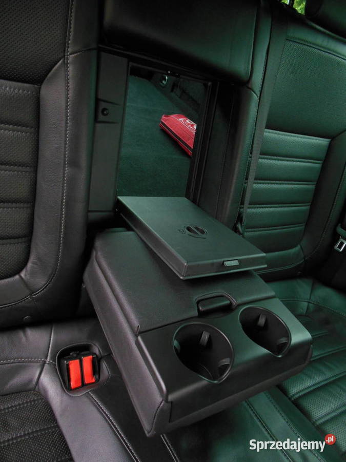 Opel Insignia Skóra Biksenony Climatronic Lubin