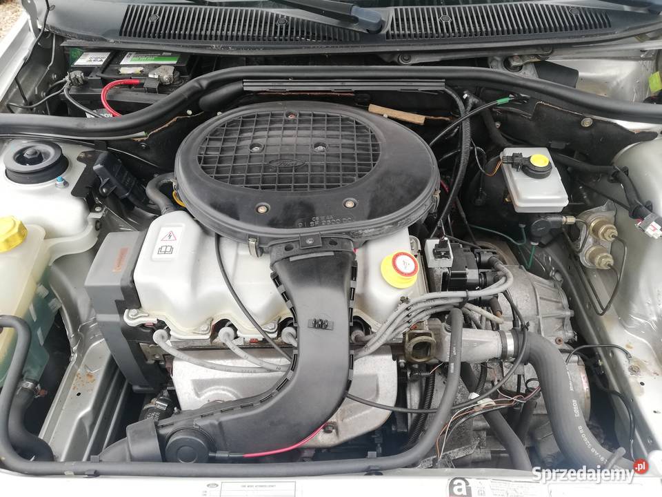 Ford Orion III Ghia 14 Aut Oldtimer 19 benzyna Kalwaria Zebrzydowska