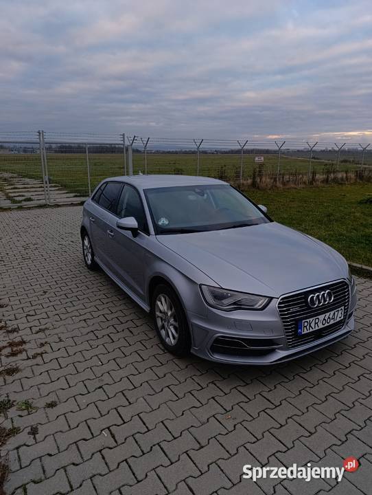 Audi a3 etron hybryda 14 tsi 204 podkarpackie Świerzowa Polska