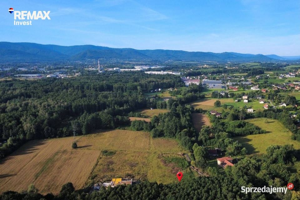 Działka pod lasem 2438 m Międzyrzecze Górne śląskie