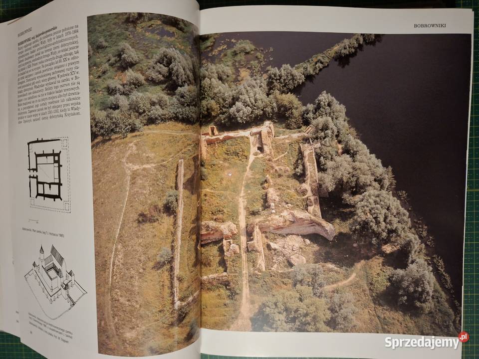 Leksykon Zamków w Polsce L Kajzer Arkady Kultura i Rozrywka Kraków