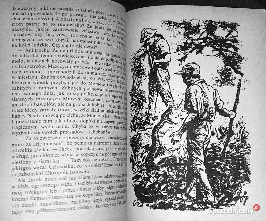 W puszczach i sawannach Kamerunu Kamil Giżycki miękka Pozostałe Chełm
