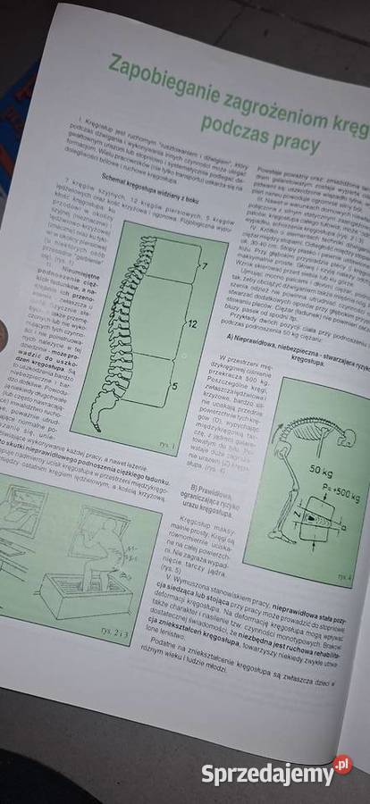 Kolekcjonerski Przyjaciel pracy 121998 czas Łęczyca