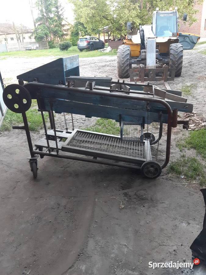 Sortownik do ziemniaków Pstrokonie