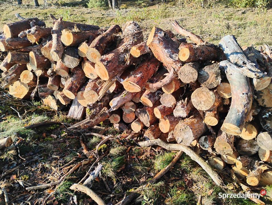 Sprzedaż drewna Ciechocinek