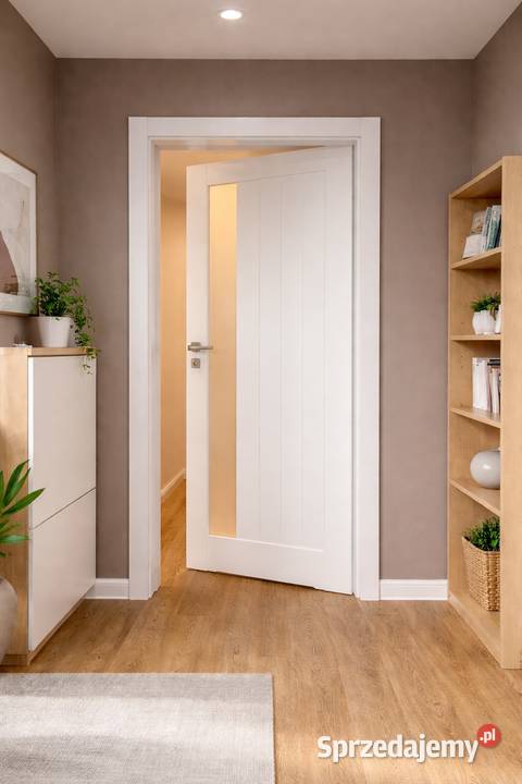 Drzwi z Obudową Starych Futryn Metalowych Kraków