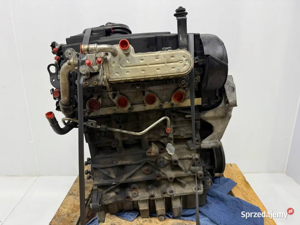 SILNIK BKP VW Passat B6 20 TDI 140 diesel Chełm