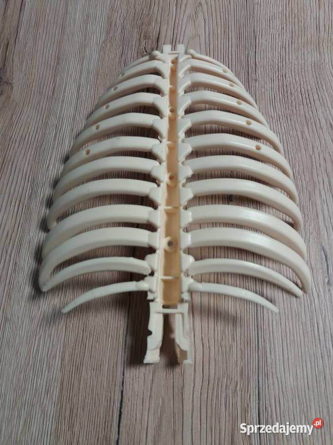 Tajemnice ludzkiego ciała kolekcja DeAgostini II Cieszyn sprzedam