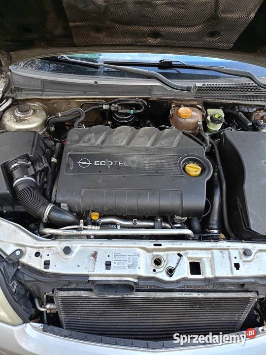 Opel Vectra C 19 D 150 Jeżdżący Jesionka