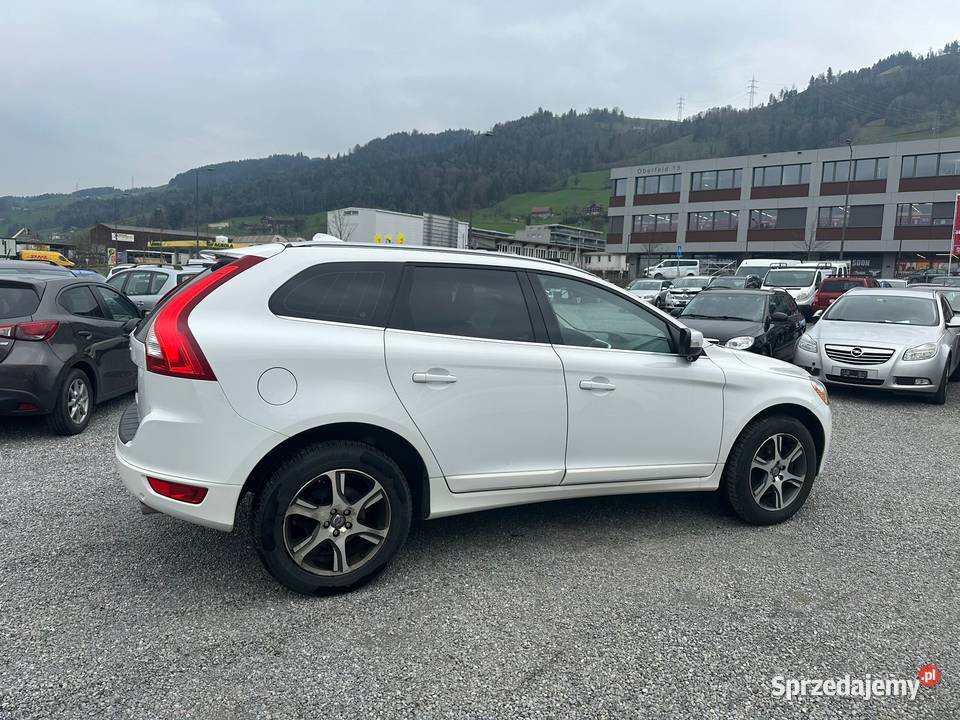 2054x4 DACHSZKLANYKAMERA SKÓRA OPŁACONY SZWAJCAR Lublin