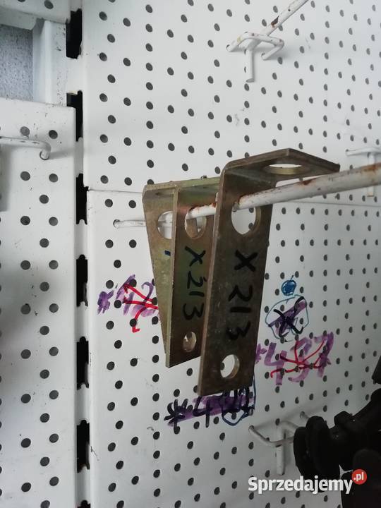 Wspornik palca ślimaka nieuszkodzony mazowieckie Kazanów