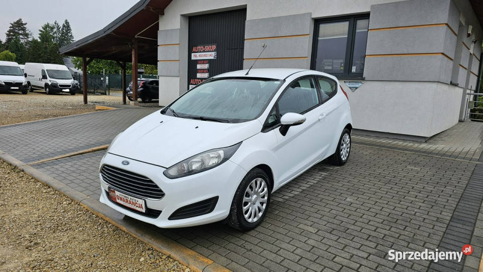 Ford Fiesta Ford Fiesta 13 pb ładna Mk7 2008 garażowany Chełm Śląski
