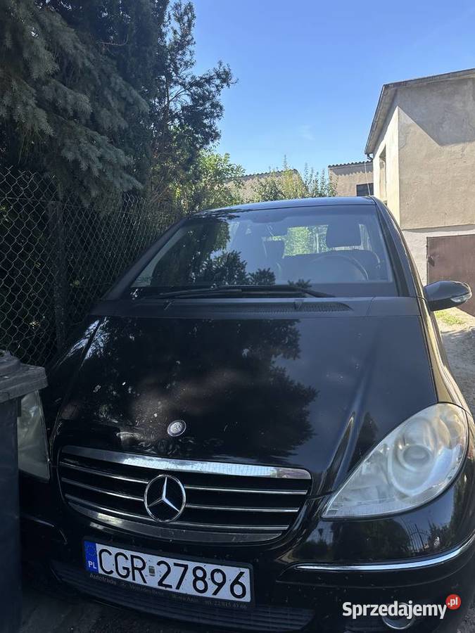 Mercedes Benz Łasin