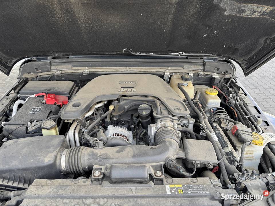 Jeep Wrangler JL Zarejestrowany w Polsce