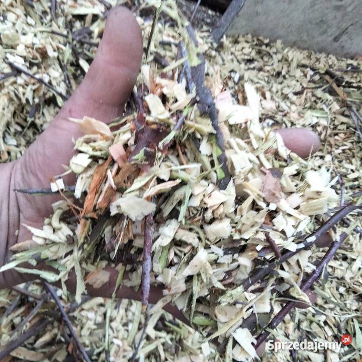 Zrębki Zrębka owocowa Ostrów Wielkopolski