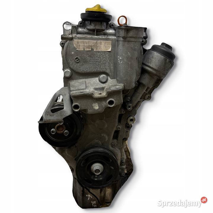 SILNIK BLF Audi A3 II 8P Skoda Octavia II 16 FSI lubelskie
