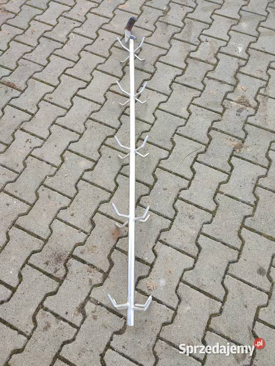 Choinki masarskie wielkopolskie Wielichowo