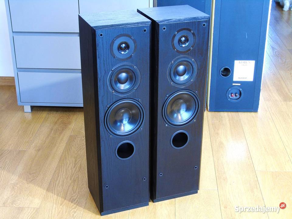 Świetne kolumny TA Triton S130 sprawne i ładne Jasło