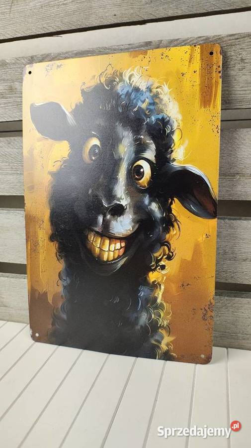 Tabliczka metalowa Obrazki i obrazy Łódź