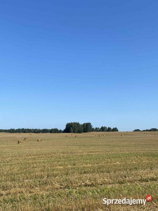 Słoma w belach 120 do 200 Sejny