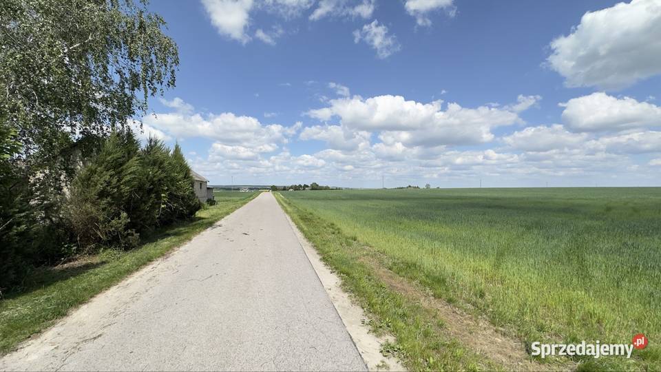 Dom siedlisko z gruntami ornymi do zamieszkania Chełm