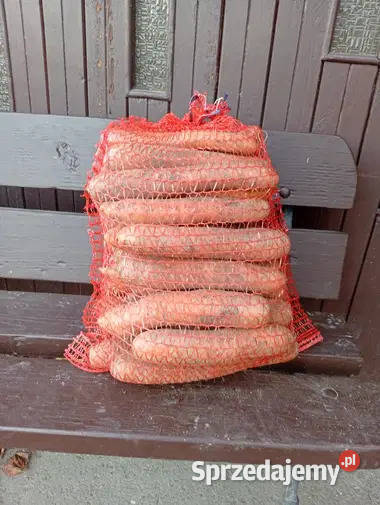 Marchew jadalna i paszowa nerac Produkcja roślinna Przeworsk