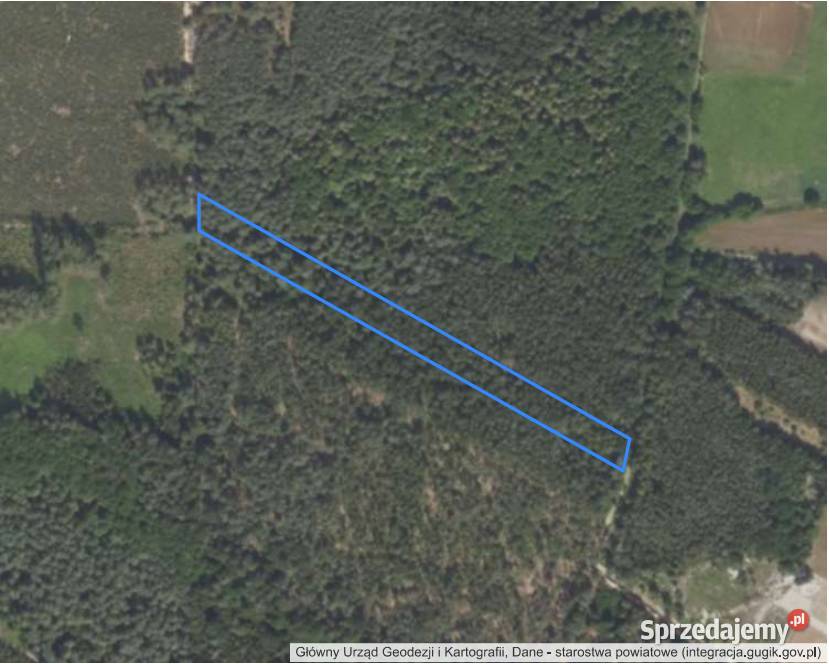 Działka leśna 0689 ha lubelskie Klimki