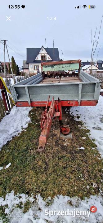 Rozrzutnik vogel and noot Rozrzutniki obornika Konina