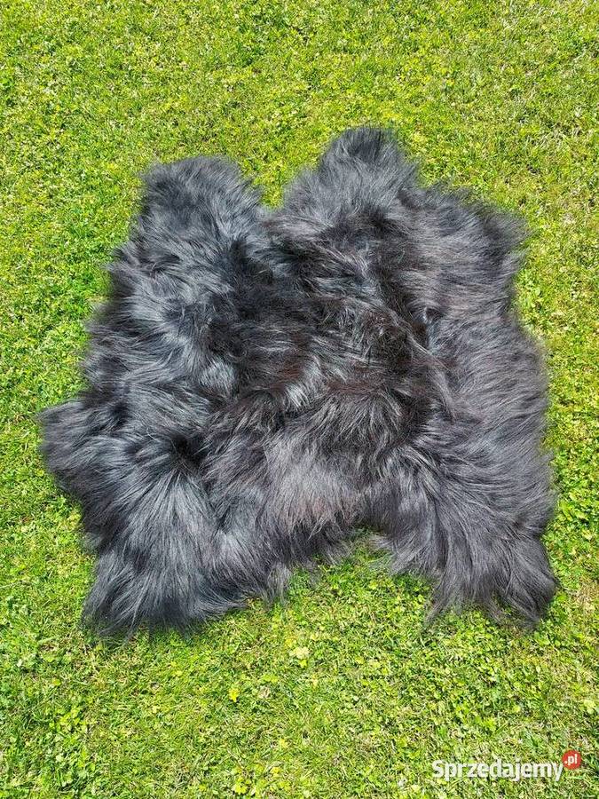 Dywanik z Owczej Wełny Czarne Skóry Naturalne małopolskie Szaflary
