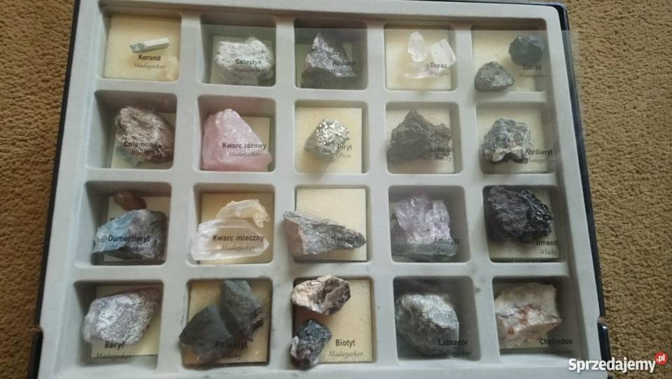 SKARBY ZIEMI KOLEKCJA Piotrków Trybunalski