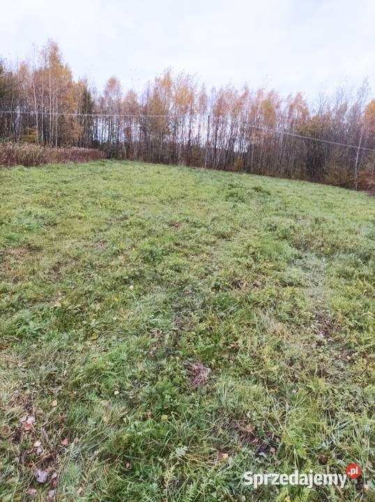 Sprzedam działkę w Hermanowej 20a Hermanowa