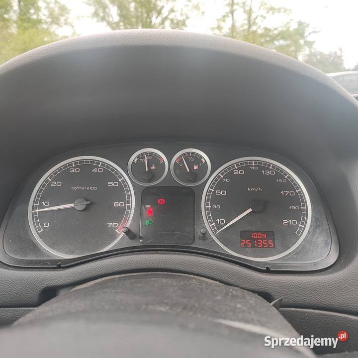 PEUGEOT 307 2005 251300 ZADBANY SPRAWNY Cięcina