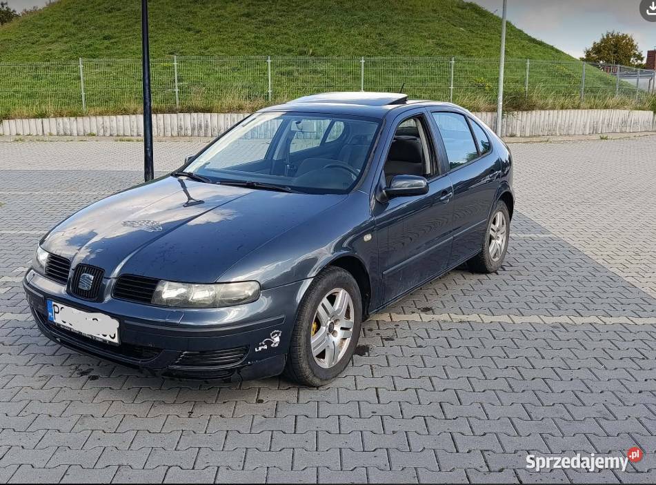 Seat Leon ewzamienie Śrem