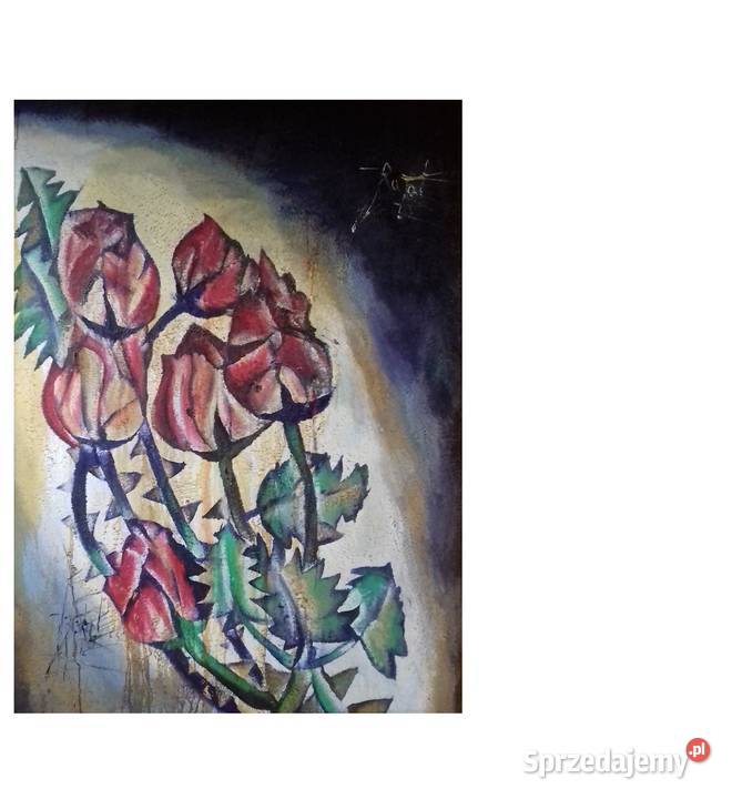 Sześć Gwiezdnych Róż Gwiazdeczkowych podkarpackie Jarosław