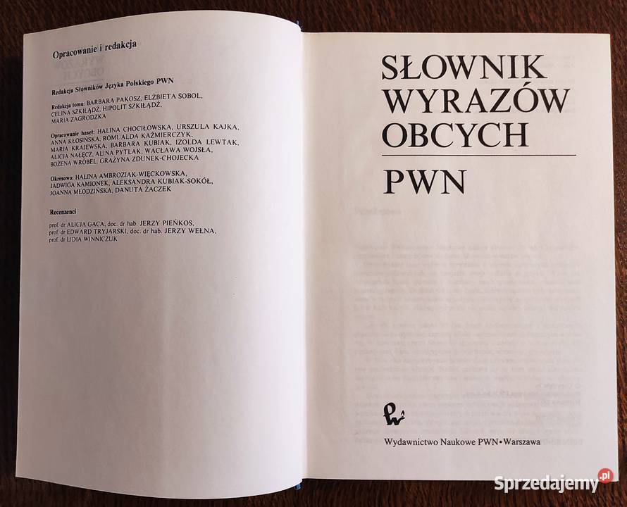 Idealny stan Barbara Pakosz i in Słownik wyrazów Warszawa