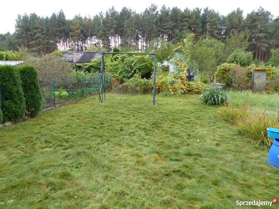 Działka rekreacyjna ROD Promyk Grunty i działki lubuskie Zielona Góra