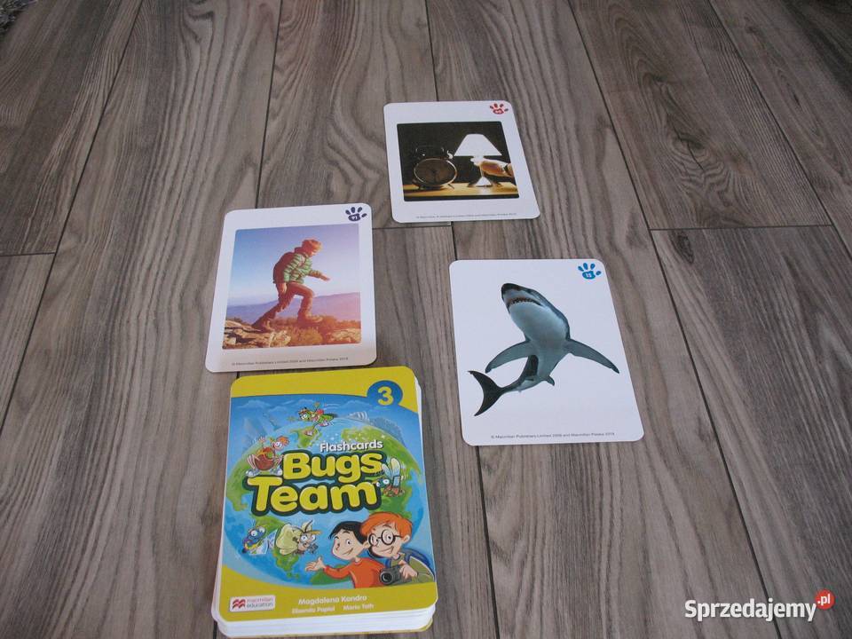 Bugs Team 3 Flashcards KARTY OBRAZKOWE Katowice