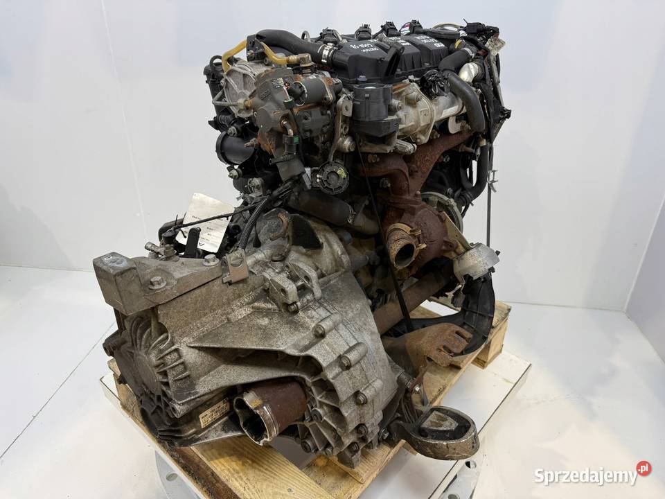 SILNIK G6DD Ford C C Focus MK2 20 TDCI 136 Chełm