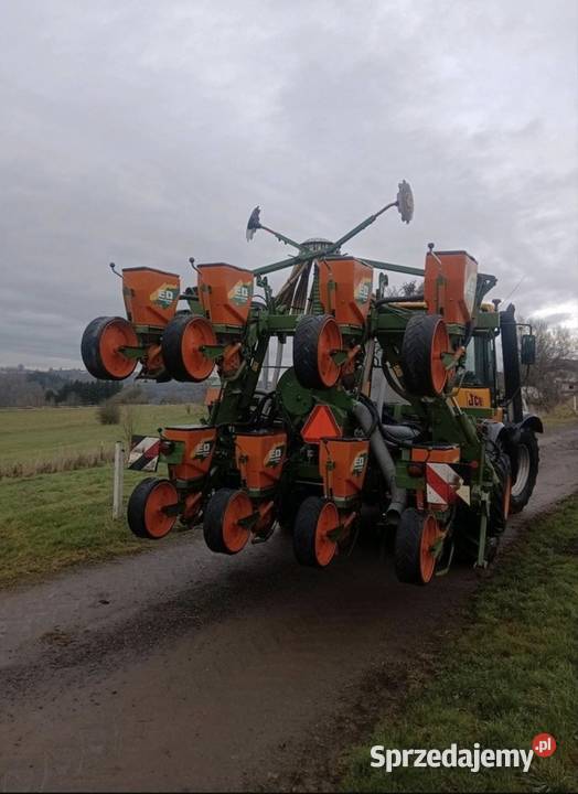 Siewnik do kukurydzy Amazone ED 601k 8 Sadłowo sprzedam