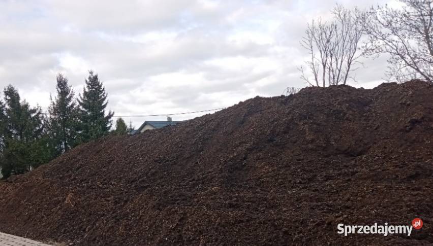 Czarna ziemia Humus Torf Pozostałe Pozostałe Murowana Goślina