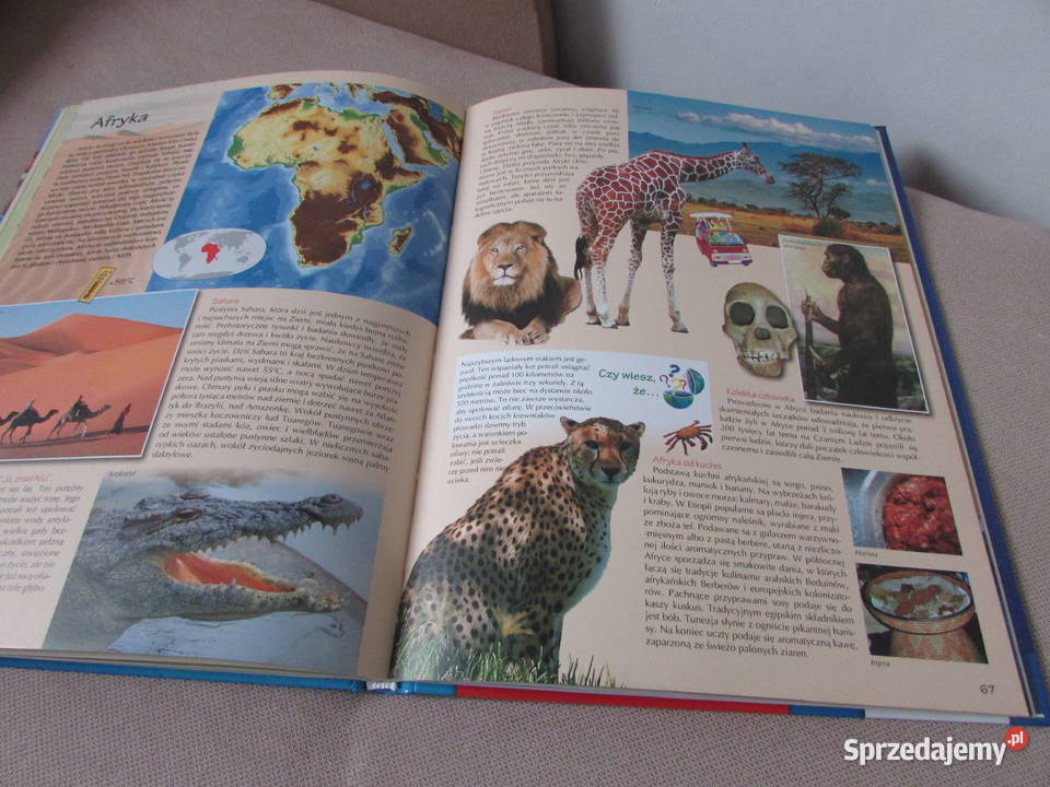 Poznaj Polskę poznaj świat Anna Majorczyk Książki dla dzieci sprzedam