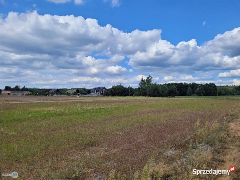 Działka 8000m2 Kluczewsko 8000m2