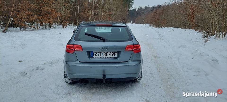 Audi a3 8p 2009r 20 tdi common rail 131 sprzedam