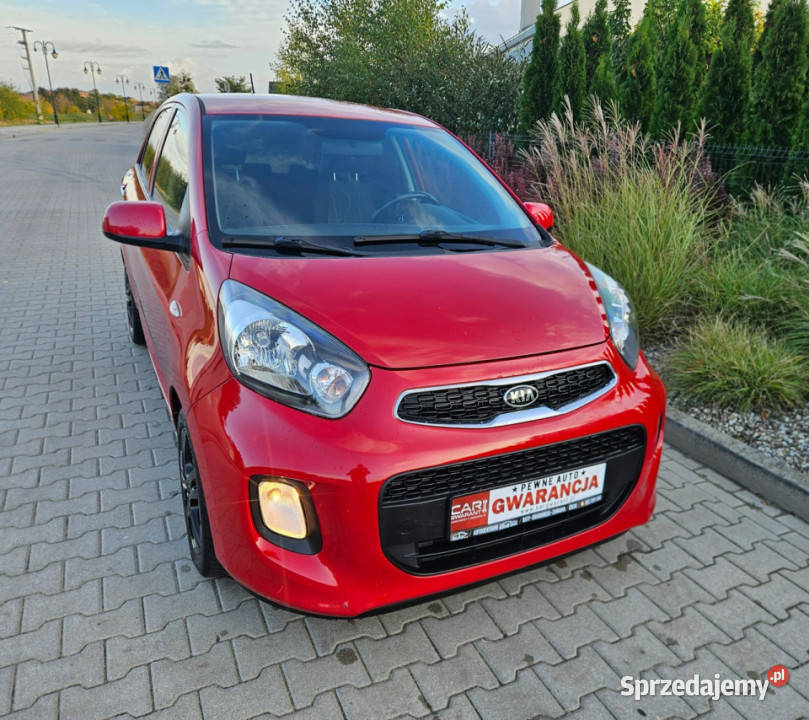 Kia Picanto Zadbany Lift Oryg73 Rata500 II 2011 nieuszkodzony wielkopolskie Śrem