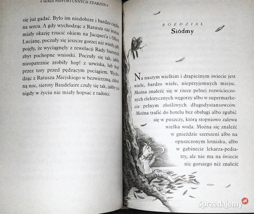Wredna wioska Seria niefortunnych zdarzeń Lemony Rok wydania 2005 lubelskie Chełm