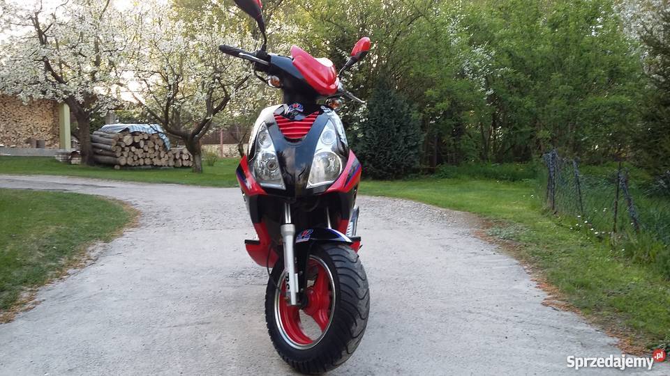 Kingway TancoPiękny 50cm3 małopolskie Wolbrom